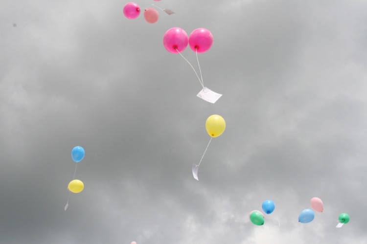 Cultura startup e o cooperativismo